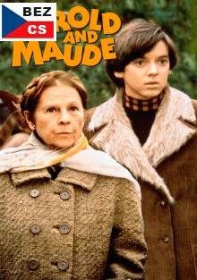 Harold a Maude DVD
